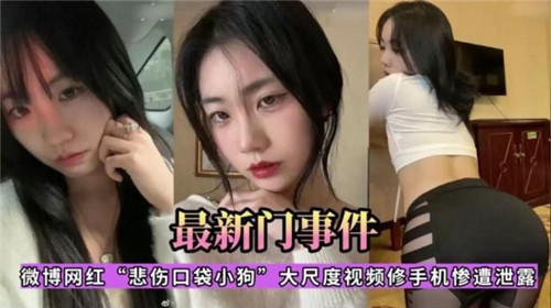 最新门事件微博网红悲伤口袋小狗大尺度视频修手机惨遭泄露 — 2025